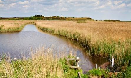 Top 10 family activities in Suffolk | Suffolk holidays