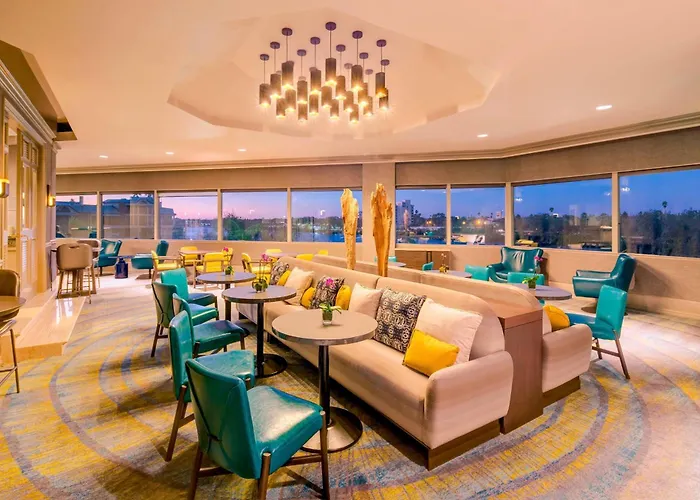 Top Pet-Friendly Accommodations in Tampa